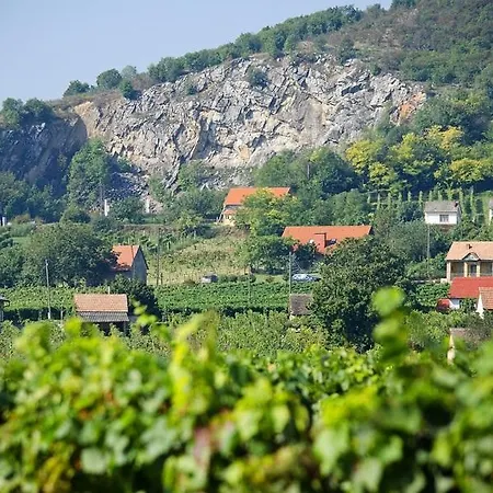 Boraszporta Guest house *