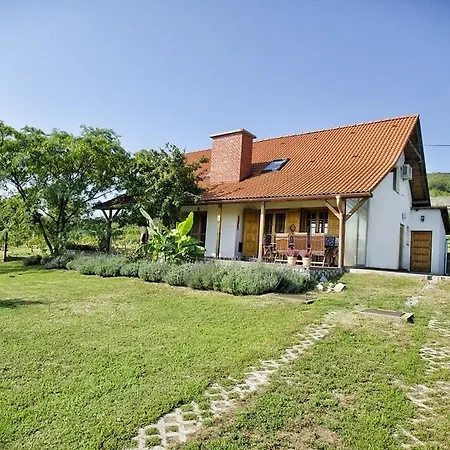 Guest house Boraszporta Villany